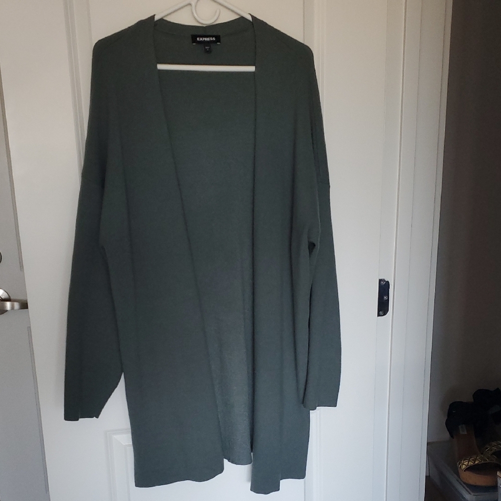 Express Sage Green Cardigan Sweater